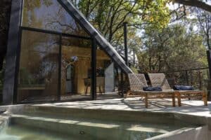 Tawny DSC03400-HDR copia